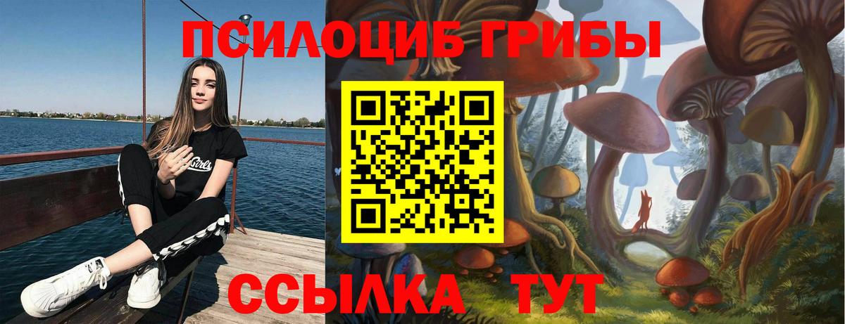 Псилоцибиновые грибы Psilocybine cubensis  Вход с VPN  дарнет шоп  Кудрово 